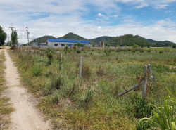รถมือสอง อสังหาริมทรัพย์ ที่ดิน ปี 0 