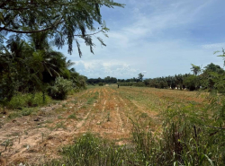 รถมือสอง อสังหาริมทรัพย์ ที่ดิน ปี 0 