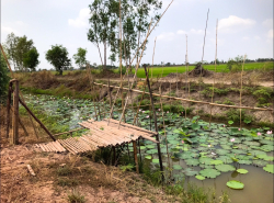 รถมือสอง อสังหาริมทรัพย์ ที่ดิน ปี 0 