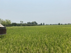 รถมือสอง อสังหาริมทรัพย์ ที่ดิน ปี 0 