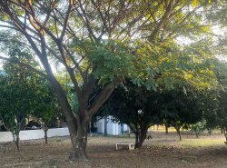 รถมือสอง อสังหาริมทรัพย์ ที่ดิน ปี 0 