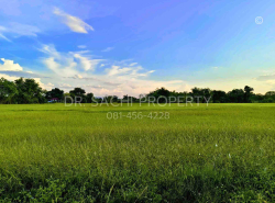 รถมือสอง อสังหาริมทรัพย์ ที่ดิน ปี 0 