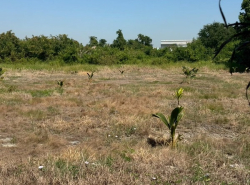 รถมือสอง อสังหาริมทรัพย์ ที่ดิน ปี 0 