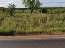 อสังหาริมทรัพย์ - ที่ดิน