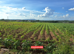 รถมือสอง อสังหาริมทรัพย์ ที่ดิน ปี 0 
