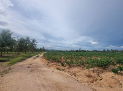รถมือสอง อสังหาริมทรัพย์ ที่ดิน ปี 0 