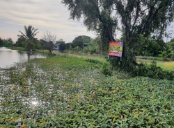 รถมือสอง อสังหาริมทรัพย์ ที่ดิน ปี 0 