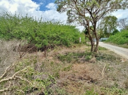 ขาย ที่ดิน ต.ปึกเตียน อ.ท่ายาง จ.เพชรบุรี    PAPC2_0009 C009