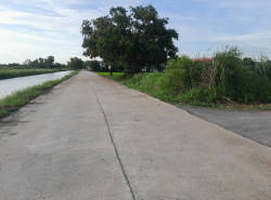 รถมือสอง อสังหาริมทรัพย์ ที่ดิน ปี 0 