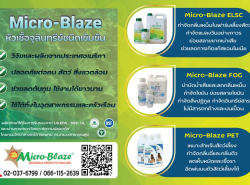รถมือสอง ประกาศทั่วไป อื่นๆทั่วไป ปี 0 