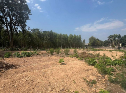 รถมือสอง อสังหาริมทรัพย์ ที่ดิน ปี 0 