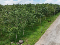 รถมือสอง อสังหาริมทรัพย์ ที่ดิน ปี 0 