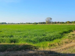 รถมือสอง อสังหาริมทรัพย์ ที่ดิน ปี 0 
