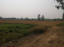 รถมือสอง อสังหาริมทรัพย์ ที่ดิน ปี 0 