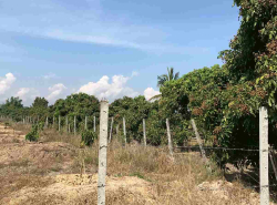 รถมือสอง อสังหาริมทรัพย์ ที่ดิน ปี 0 