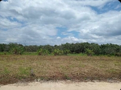 รถมือสอง อสังหาริมทรัพย์ ที่ดิน ปี 0 