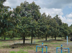 รถมือสอง อสังหาริมทรัพย์ ที่ดิน ปี 0 