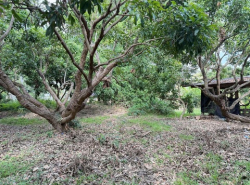รถมือสอง อสังหาริมทรัพย์ ที่ดิน ปี 0 