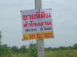 อสังหาริมทรัพย์ ที่ดิน ปี 