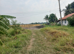 รถมือสอง อสังหาริมทรัพย์ ที่ดิน ปี 0 