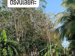 รถมือสอง อสังหาริมทรัพย์ ที่ดิน ปี 0 