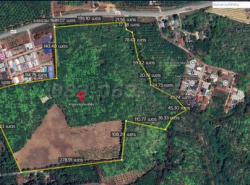 รถมือสอง อสังหาริมทรัพย์ ที่ดิน ปี 0 