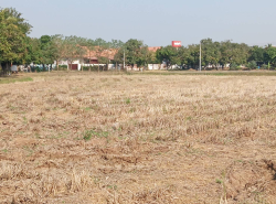 รถมือสอง อสังหาริมทรัพย์ ที่ดิน ปี 0 