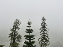 รถมือสอง อสังหาริมทรัพย์ ที่ดิน ปี 0 