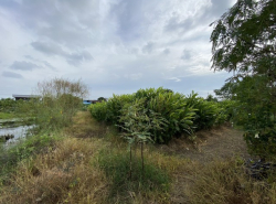 รถมือสอง อสังหาริมทรัพย์ ที่ดิน ปี 0 