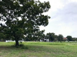 รถมือสอง อสังหาริมทรัพย์ ที่ดิน ปี 0 