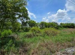 รถมือสอง อสังหาริมทรัพย์ ที่ดิน ปี 0 