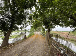 ขายที่ดินพร้อมบ้าน 2หลัง นครปฐม ริมแม่น้ำท่าจีน บรรยากาศร่มรื่น 