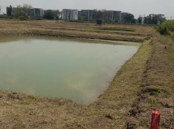 รถมือสอง อสังหาริมทรัพย์ ที่ดิน ปี 0 