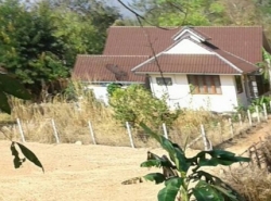 ขายที่ดินเปล่าวิวทุ่งนา 