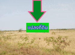 รถมือสอง อสังหาริมทรัพย์ ที่ดิน ปี 0 