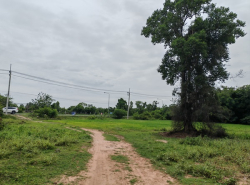รถมือสอง อสังหาริมทรัพย์ ที่ดิน ปี 0 
