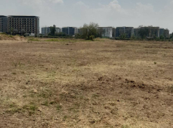รถมือสอง อสังหาริมทรัพย์ ที่ดิน ปี 0 