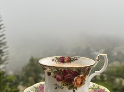 รถมือสอง อสังหาริมทรัพย์ ที่ดิน ปี 0 