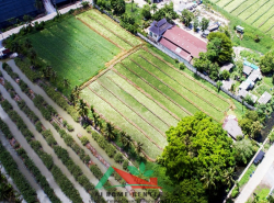 รถมือสอง อสังหาริมทรัพย์ ที่ดิน ปี 0 