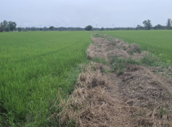 อสังหาริมทรัพย์ - ที่ดิน