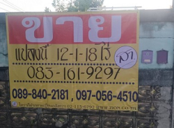 ขายที่ดินทำเลทอง ราคาเหมาะสม  12-1-18 ไร่  ใกล้เซ็นทรัลพลาซ่า พิษณุโลก   พลายชุมพล เมืองพิษณุโลก  ZK384