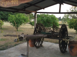 รถมือสอง อสังหาริมทรัพย์ ที่ดิน ปี 0 