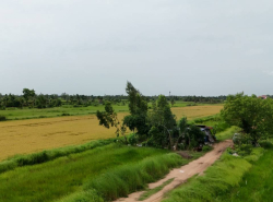 รถมือสอง อสังหาริมทรัพย์ ที่ดิน ปี 0 