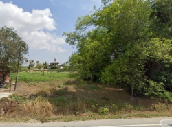 ขายที่ดิน เขตพัฒนาอุสหกรรม ติดถนนทางหลวง 4034 นิคมพัฒนา ระยอง TP-L0883