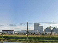 รถมือสอง อสังหาริมทรัพย์ ที่ดิน ปี 0 