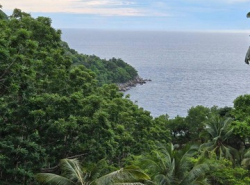 ประกาศขายที่ดิน Seaview กะรน ภูเก็ตเหมาะสำหรับนักลงทุนที่ต้องการพัฒนาโรงแรม รีสอร์ท 
