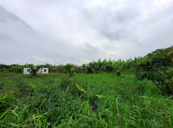 รถมือสอง อสังหาริมทรัพย์ ที่ดิน ปี 0 