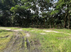 รถมือสอง อสังหาริมทรัพย์ ที่ดิน ปี 0 