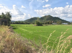 รถมือสอง อสังหาริมทรัพย์ ที่ดิน ปี 0 