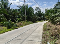 รถมือสอง อสังหาริมทรัพย์ ที่ดิน ปี 0 